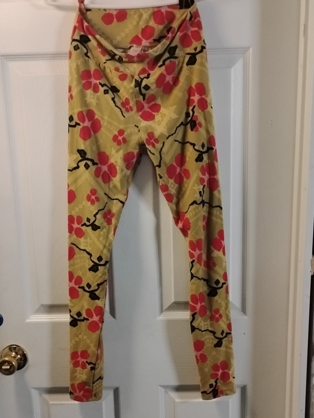 LuLaRoe Girls Floral Leggings - With Red And Pink Blossoms